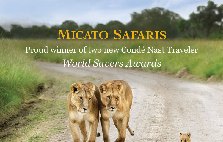 Micato Safaris - Proud winner of two new Condé Nast Traveler World Savers Awards