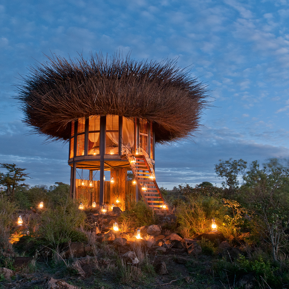 Nighttime photograph of Nay Palad Bird Nest