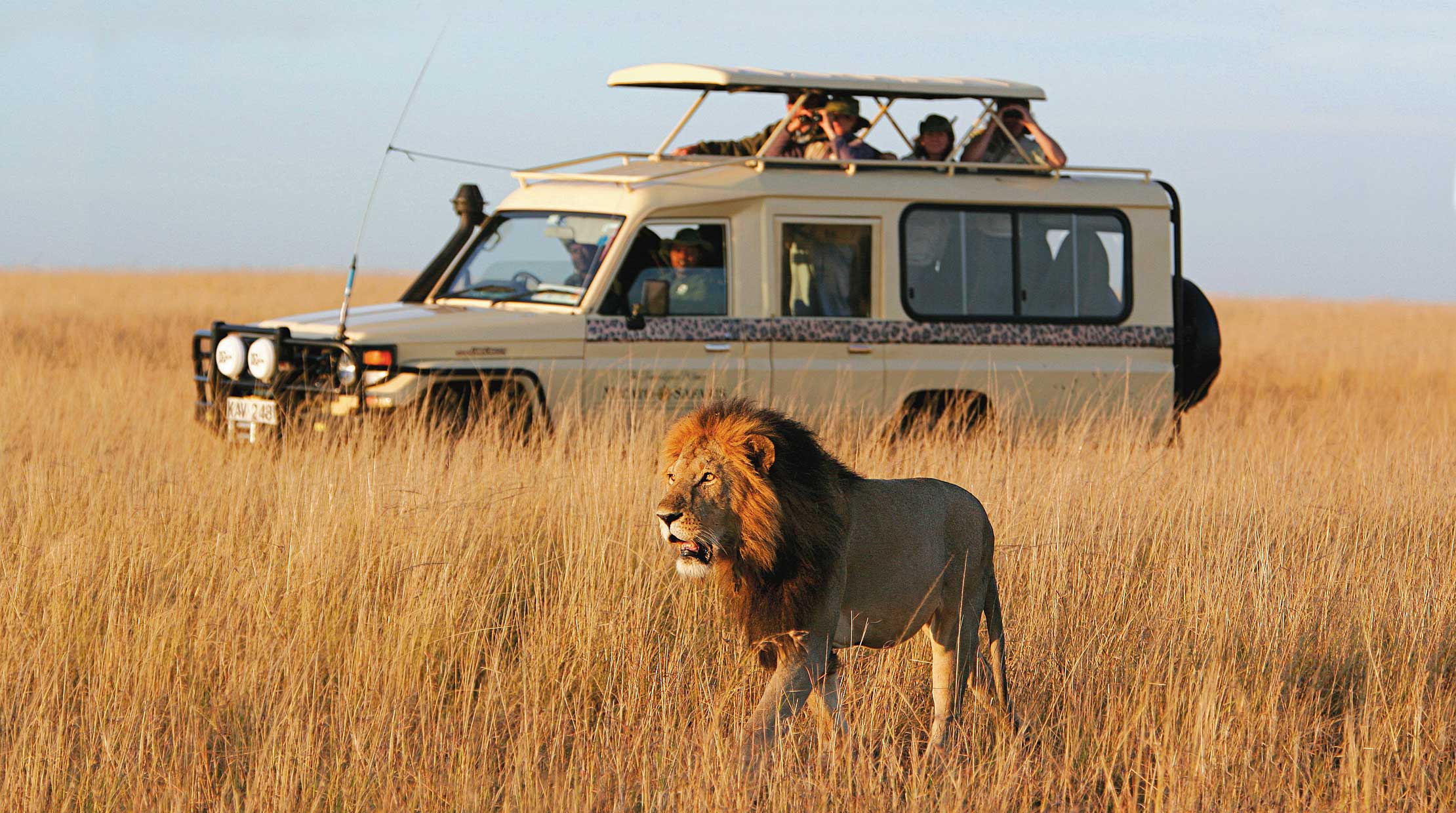 safari tour vehicle