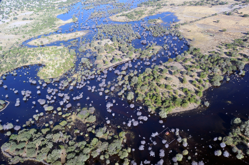 A photograph taken from a hot air balloon over the Okavango Delta