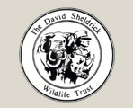 The David Sheidrick Wildlife Trust