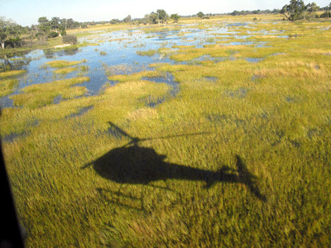 Casting a shadow across the Okavango