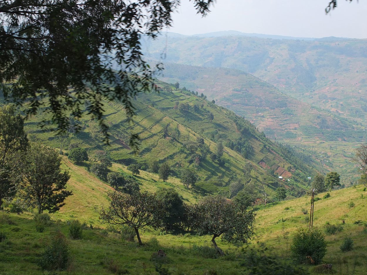 Hills of Rwanda