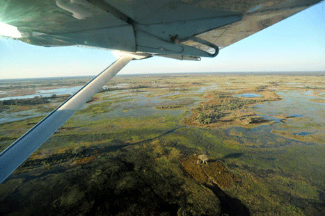 The Delta from Above