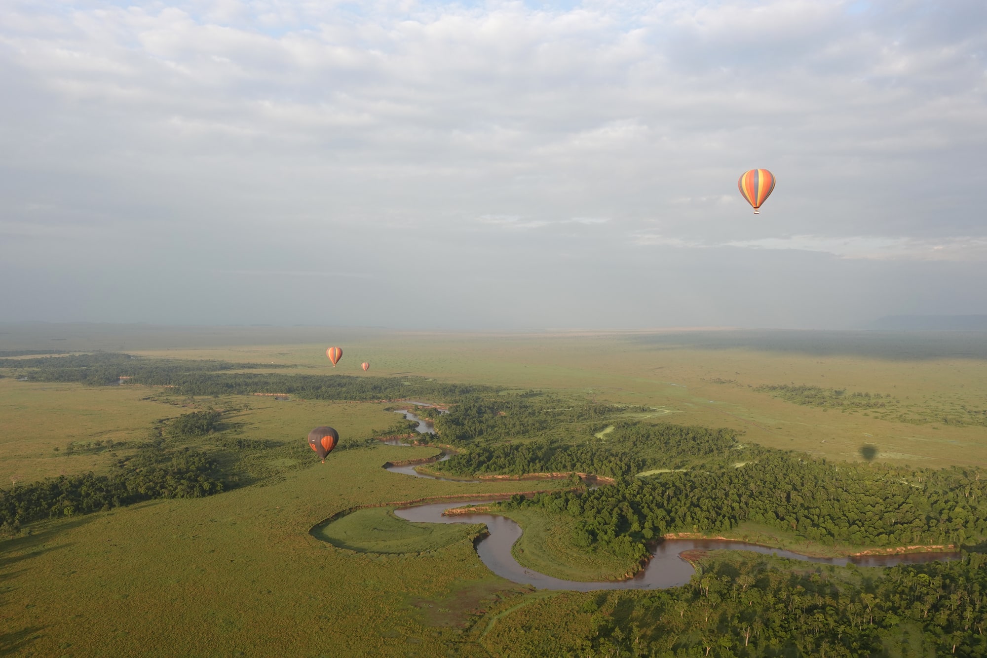 Four hot air balloons in the sky