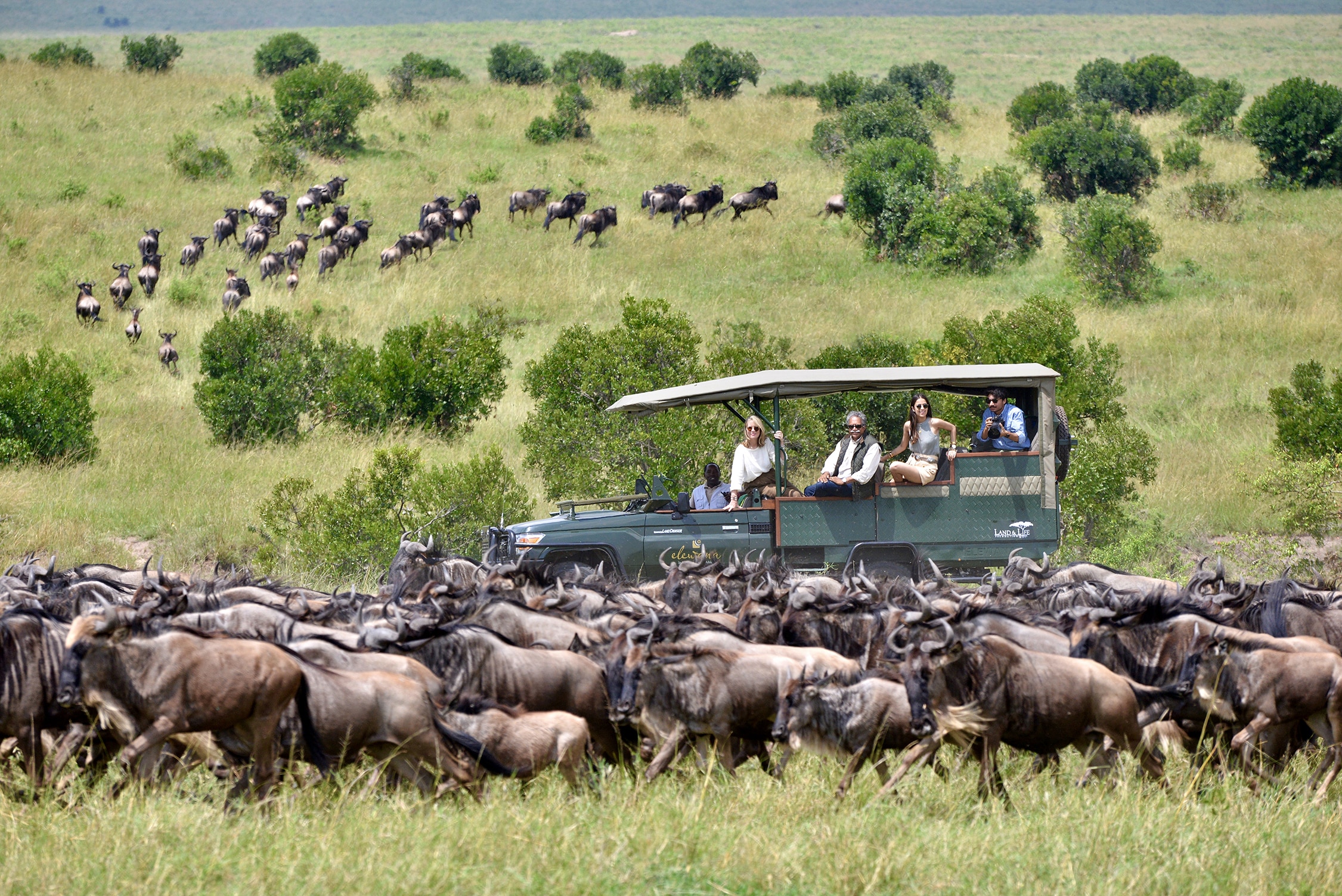 The Pintos watching a herd of wildebeest 