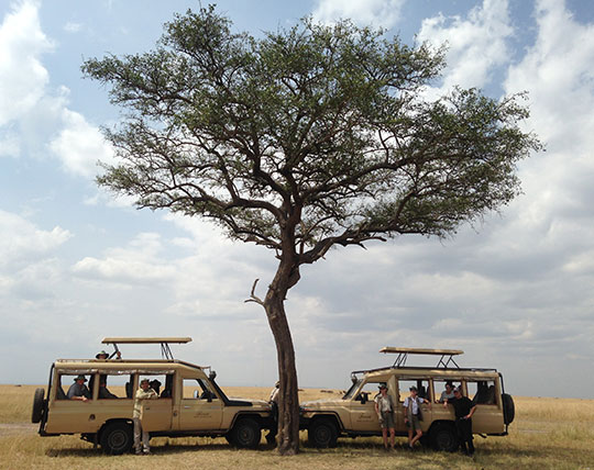 A group of people sitting in tour buses under a tree.