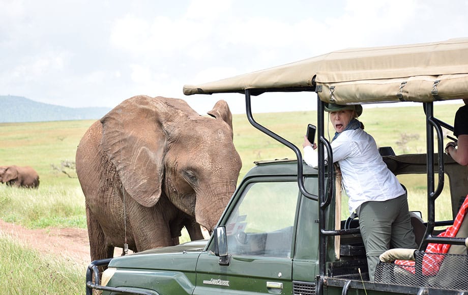 a tourist taking a photo of an elephant