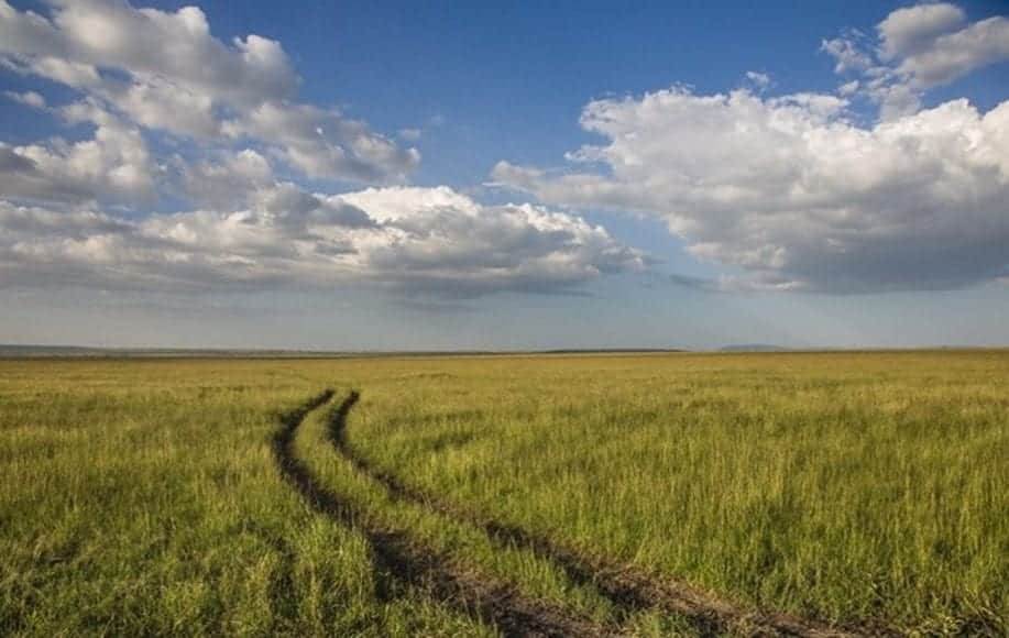 A field with tire tracks