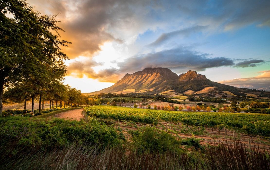 Stellenbosch, Franschhoek and the Cape Winelands