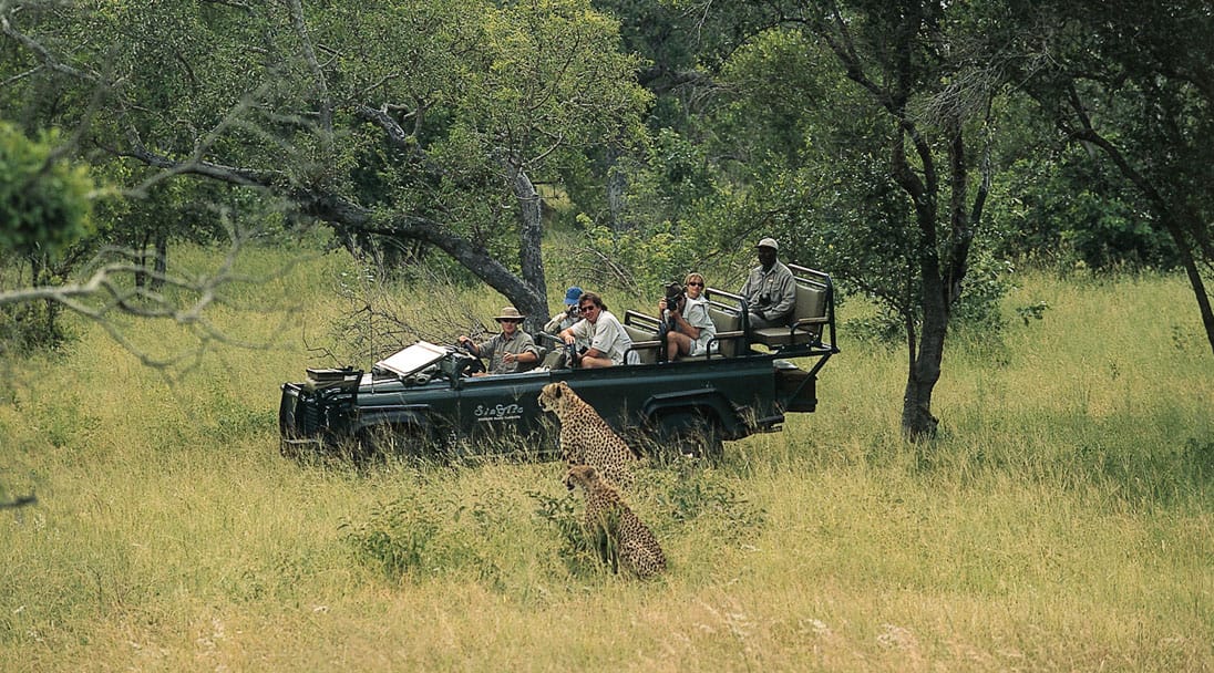 Watching animals during micato vehcile safari