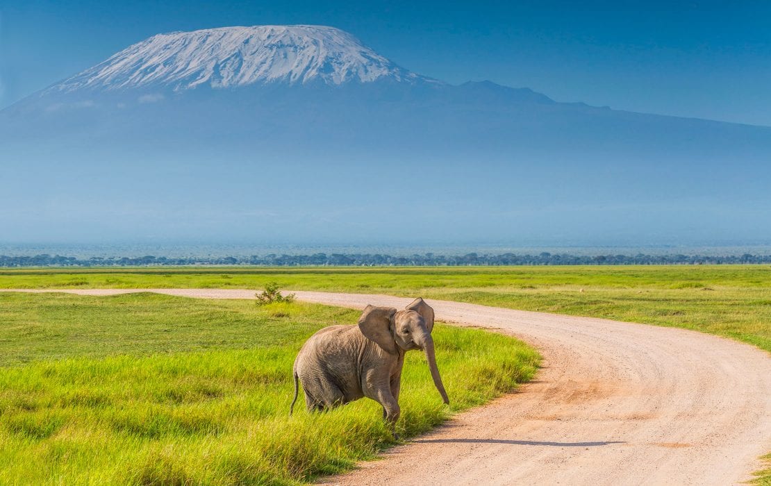 Amboseli National Park - Africa Destination - Micato Safaris
