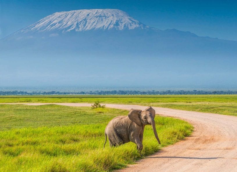 Amboseli National Park, southern Kenya