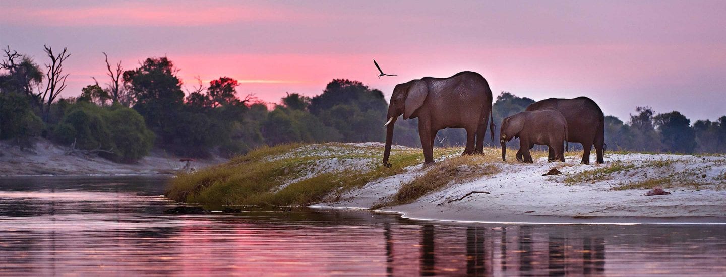 Botswana's Timeless Wilderness