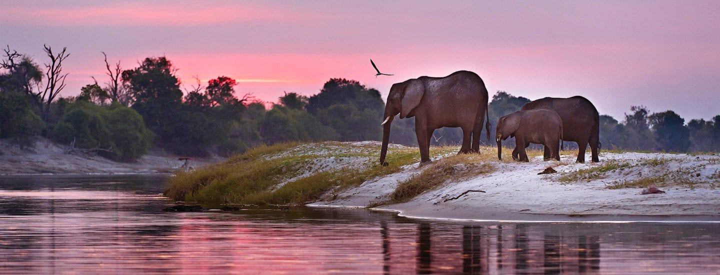 micato safaris botswana