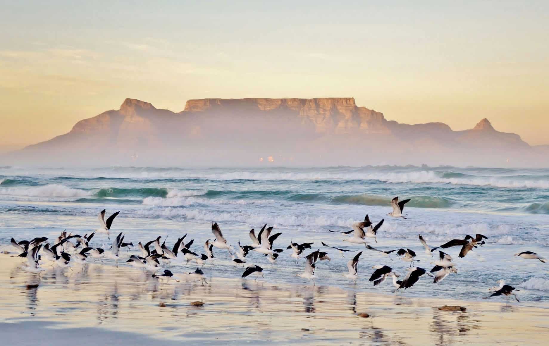 The Cape Town