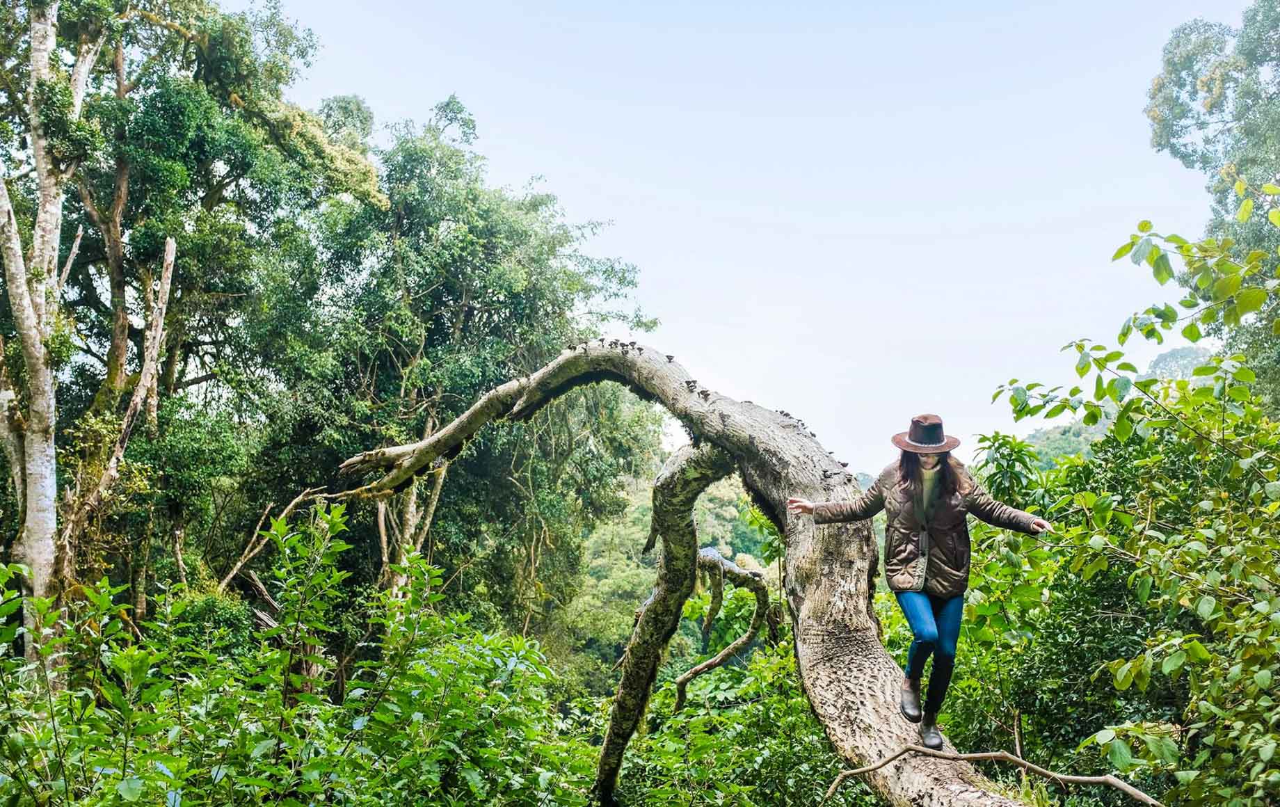 Woman walking down a jungle tree at Chyulu Hills in Africa