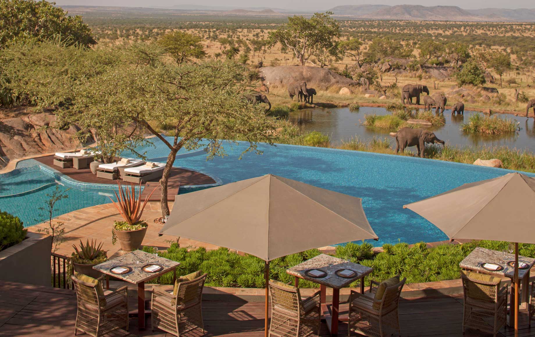 Four Seasons Safari Lodge Serengeti