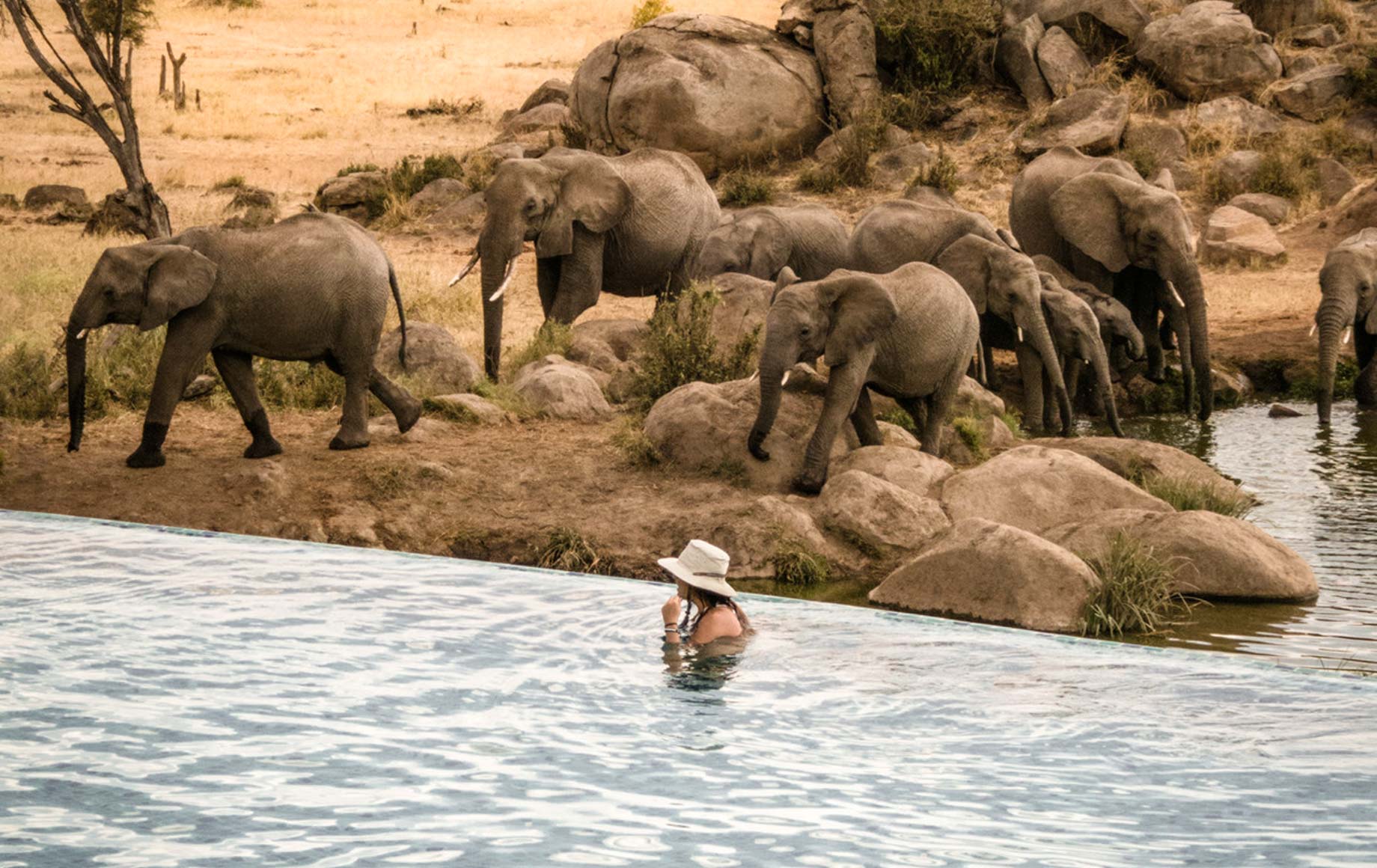 four seasons south africa safari