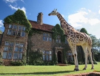 Giraffe sticks his neck out to join family for breakfast at manor house