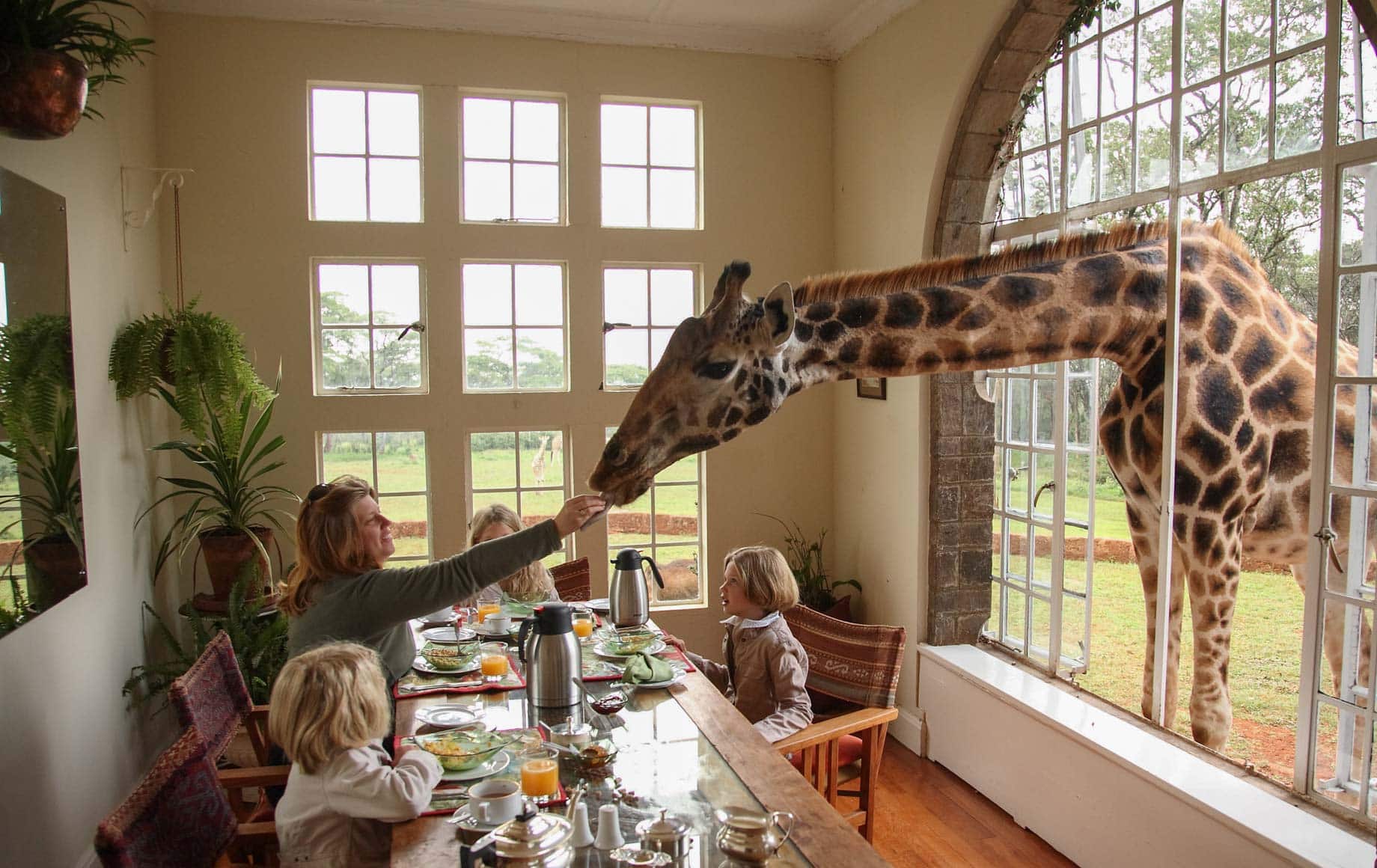 Family Safari at the Giraffe Hotel