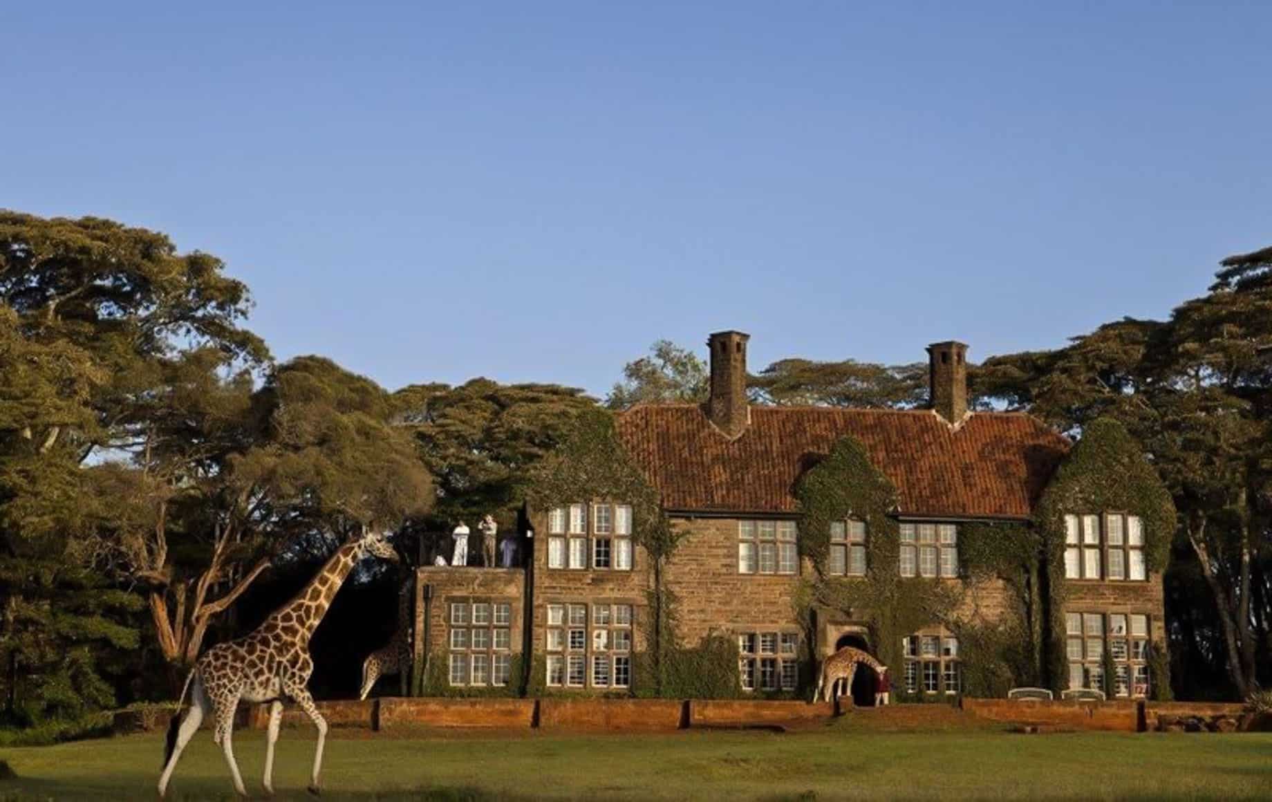 Giraffe Manor