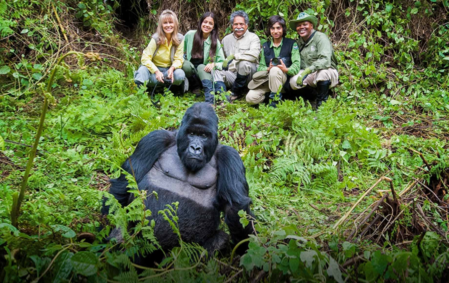 Gorialla Tracking