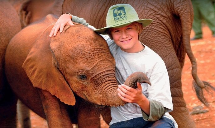 Safari boy with elephant
