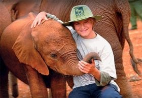 Safari boy with elephant