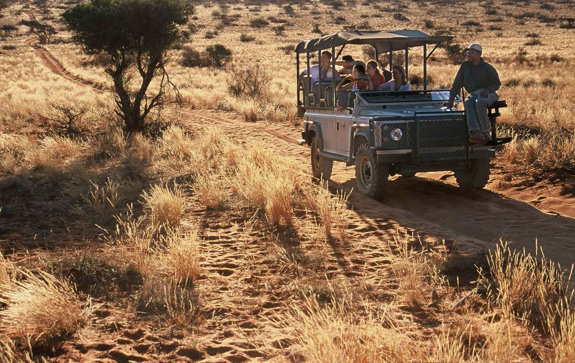 Kalahari desert safari view