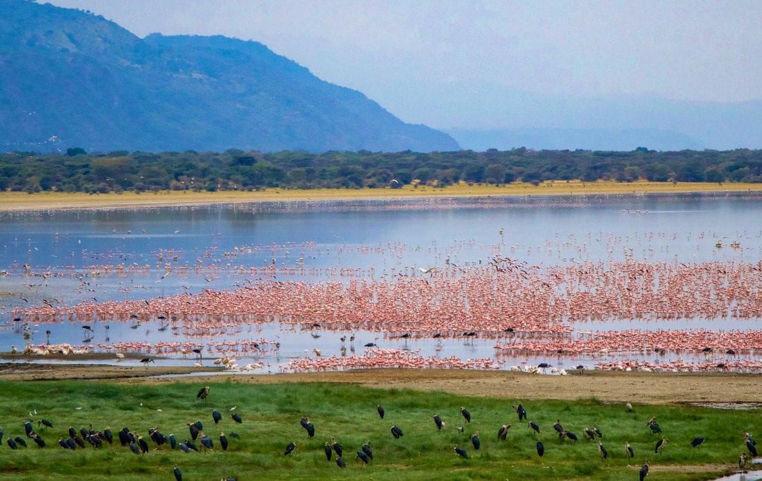 Lake Manyara National Park - great places in Tanzania