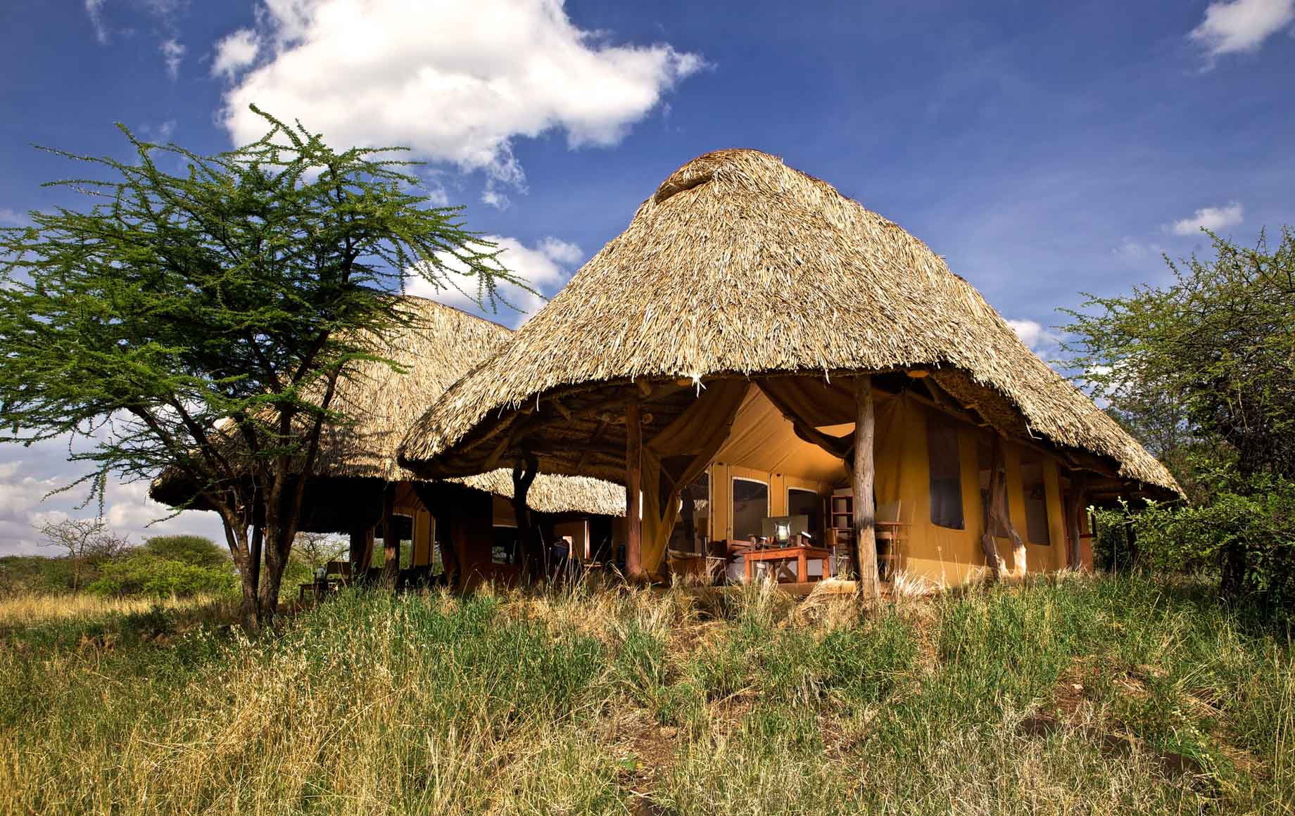 Lewa Safari Camp