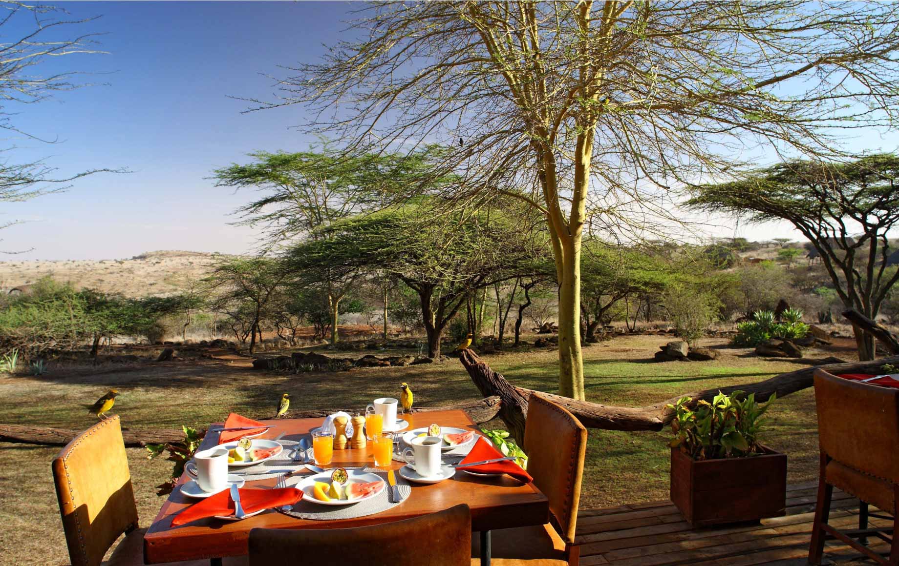 Lewa Safari Camp