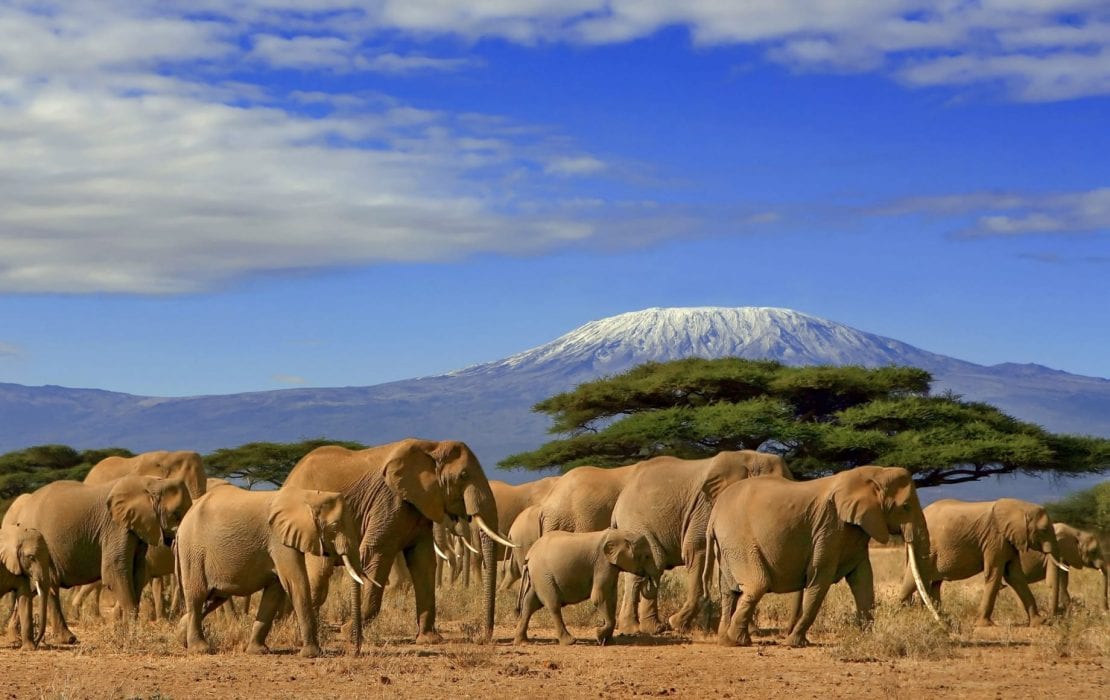 The Maasai Mara Game Reserves Micato Safaris