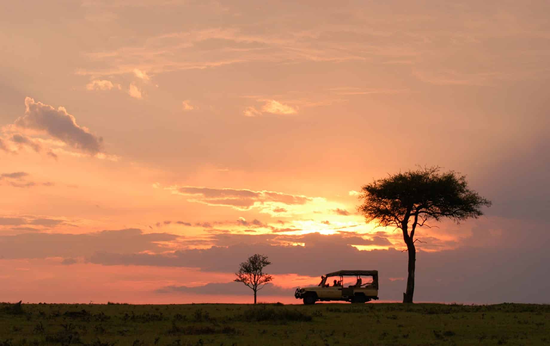 Serene view at Maasai Mara