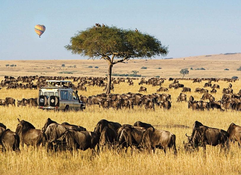 Wildlife at The Maasai Mara Game Reserves