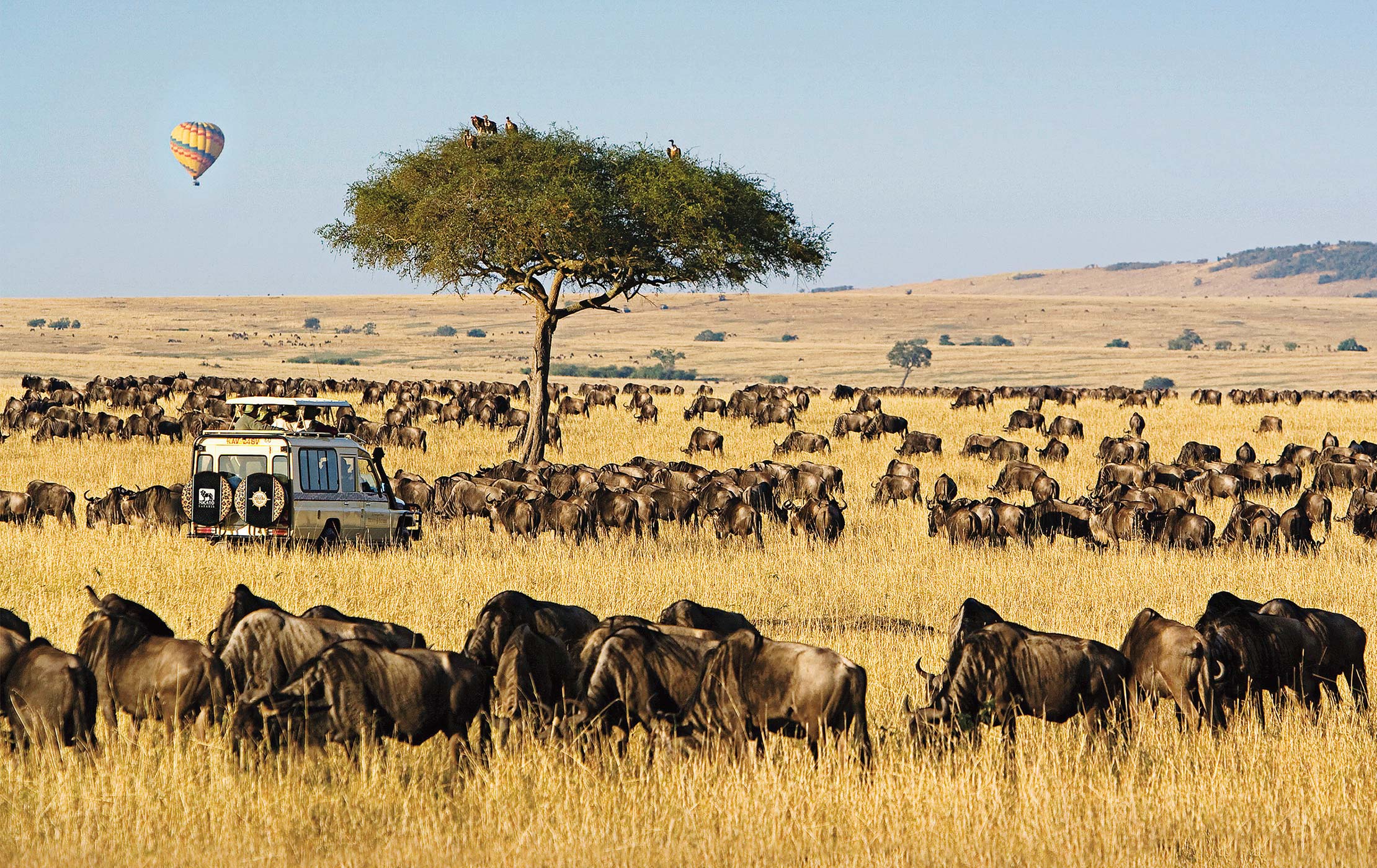 The Maasai Mara Game Reserves - Micato Safaris