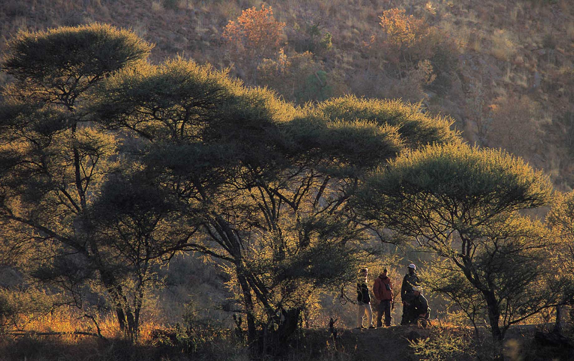 Madikwe Game Reserve