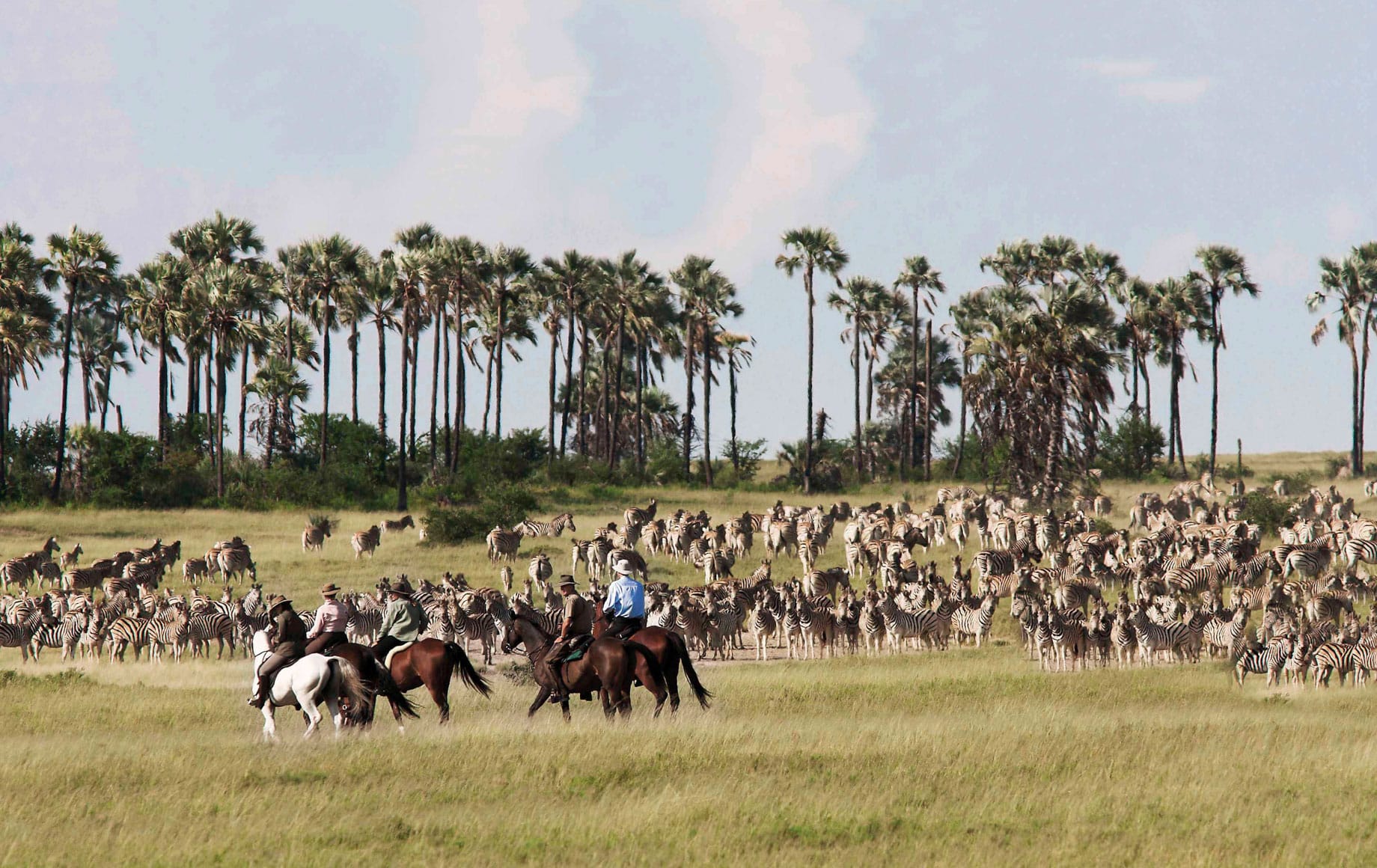 Wildlife in the Makgadikgadi Pan