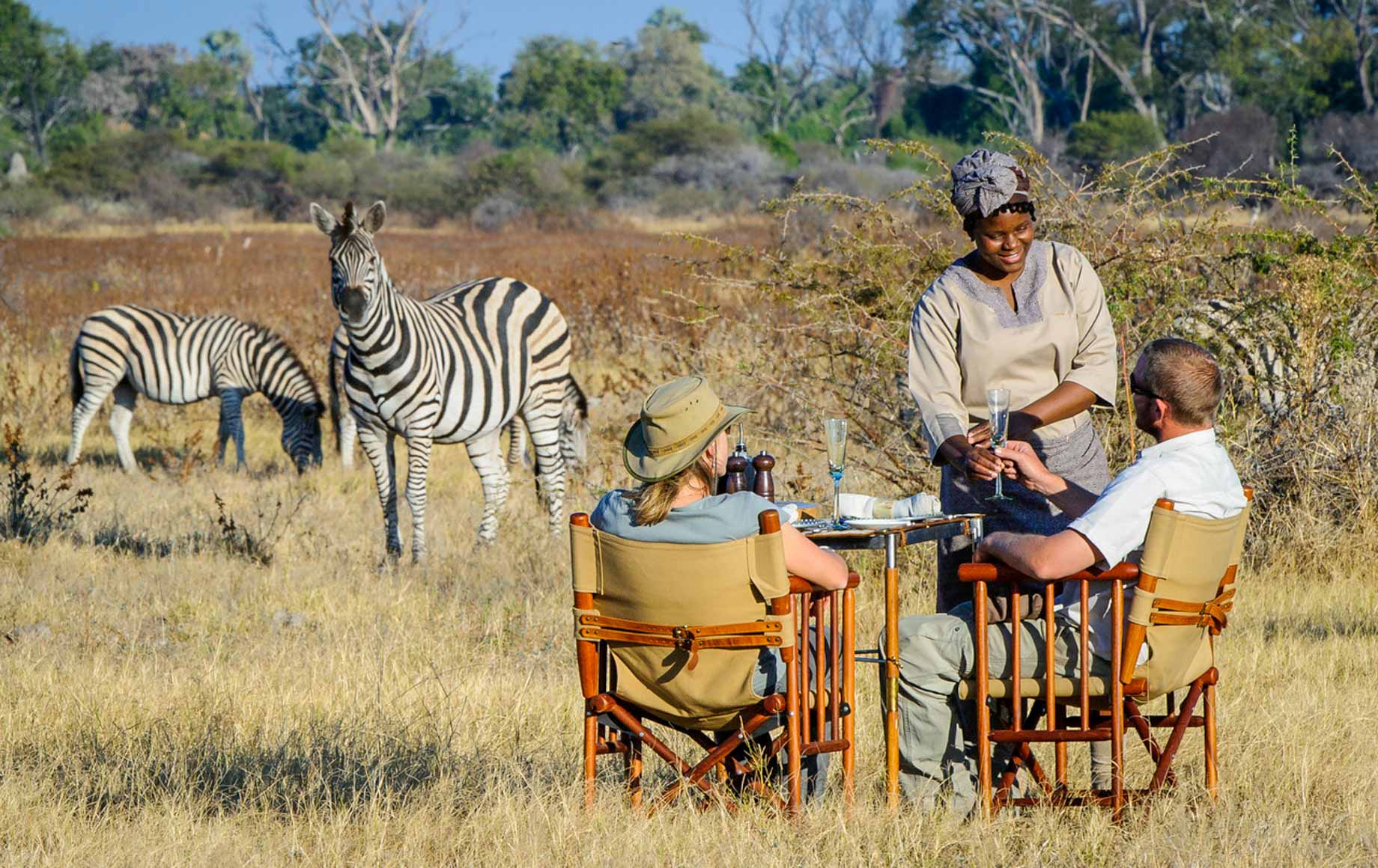 Enjoying champagne while watching Zebras