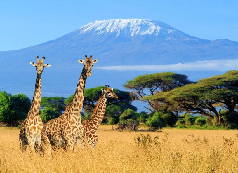 Mount Kilimanjaro