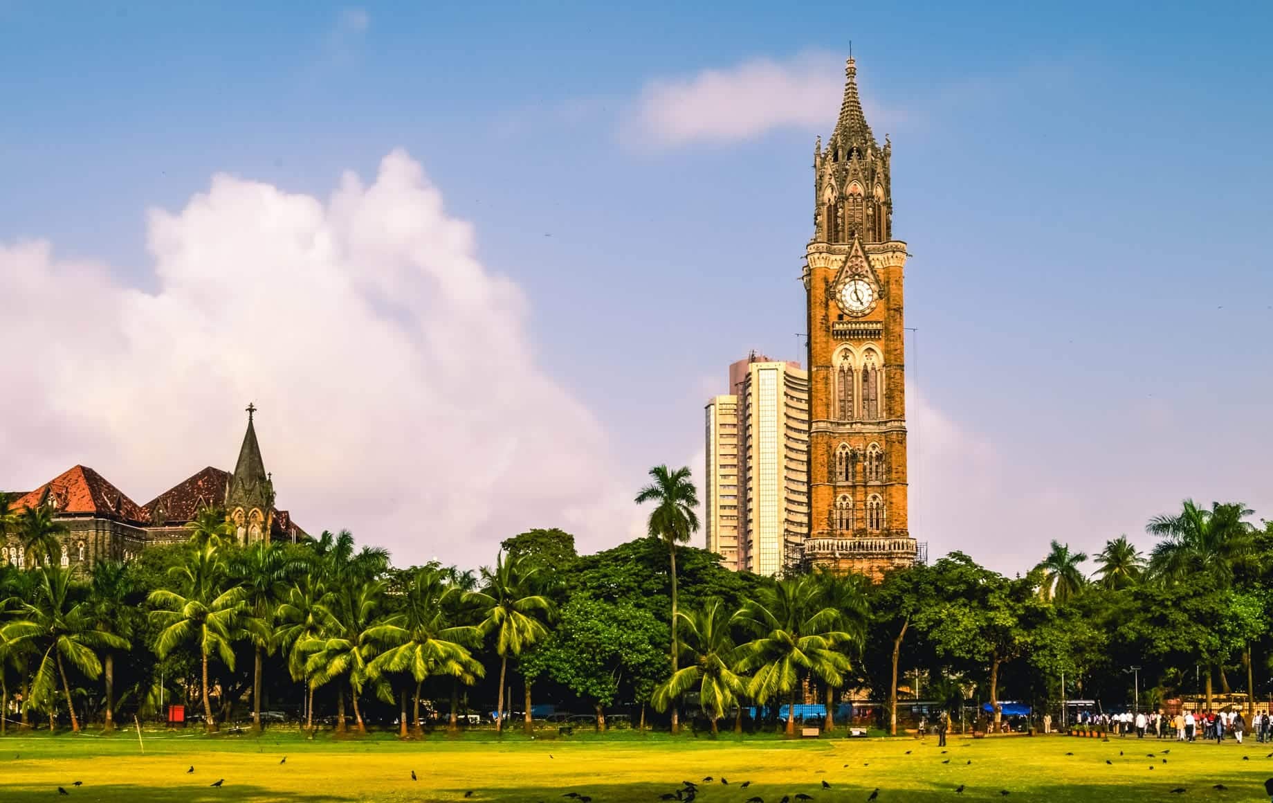 Peaceful park and tower at Mumbai