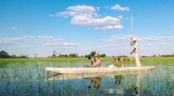 Okavango delta boat tour