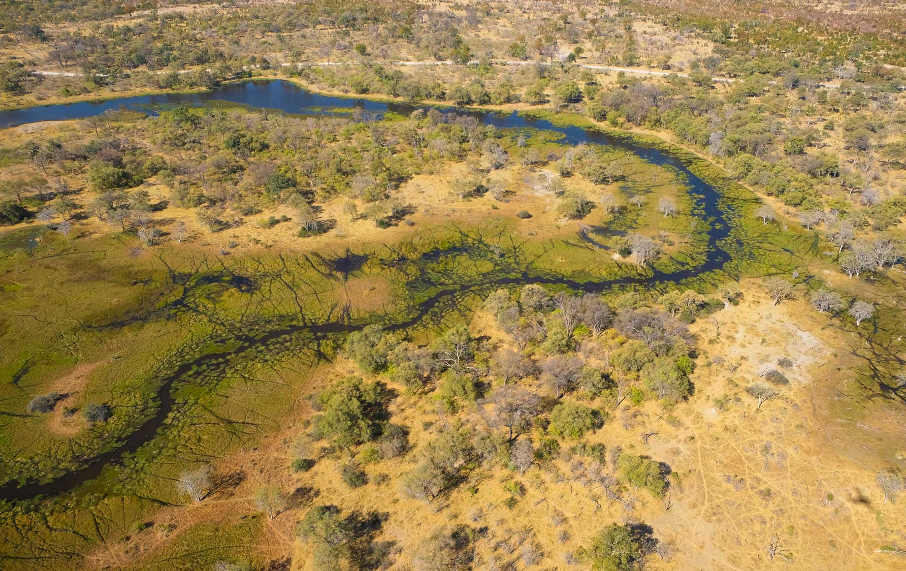 Okavango delta beauty