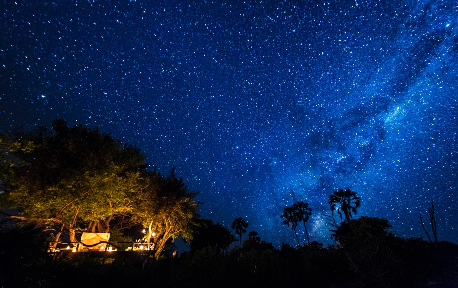 The Milky Way above an illuminated man and tree in Namibia's Okavango Delta.