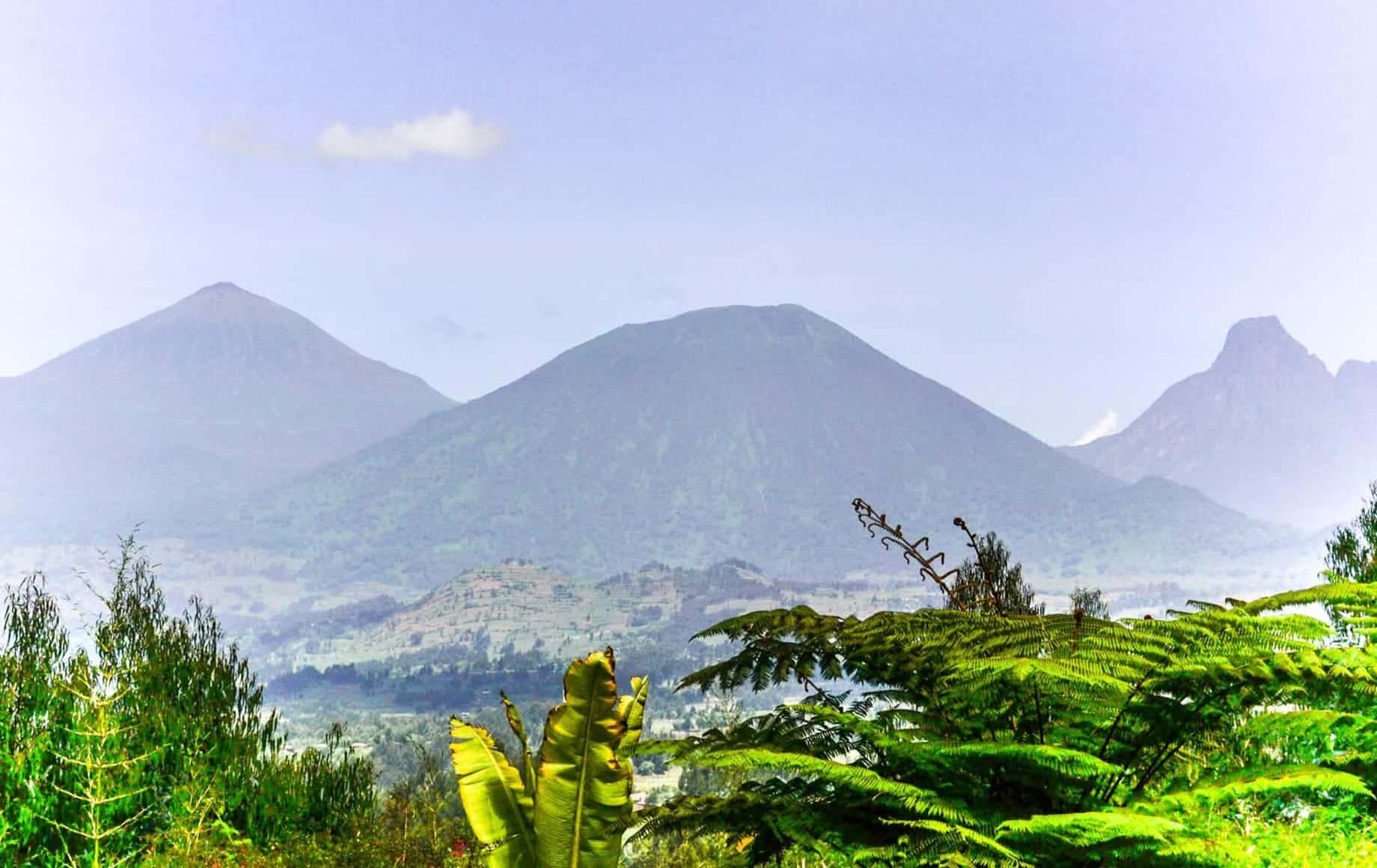Parc Nacional des Volcans, Rwanda