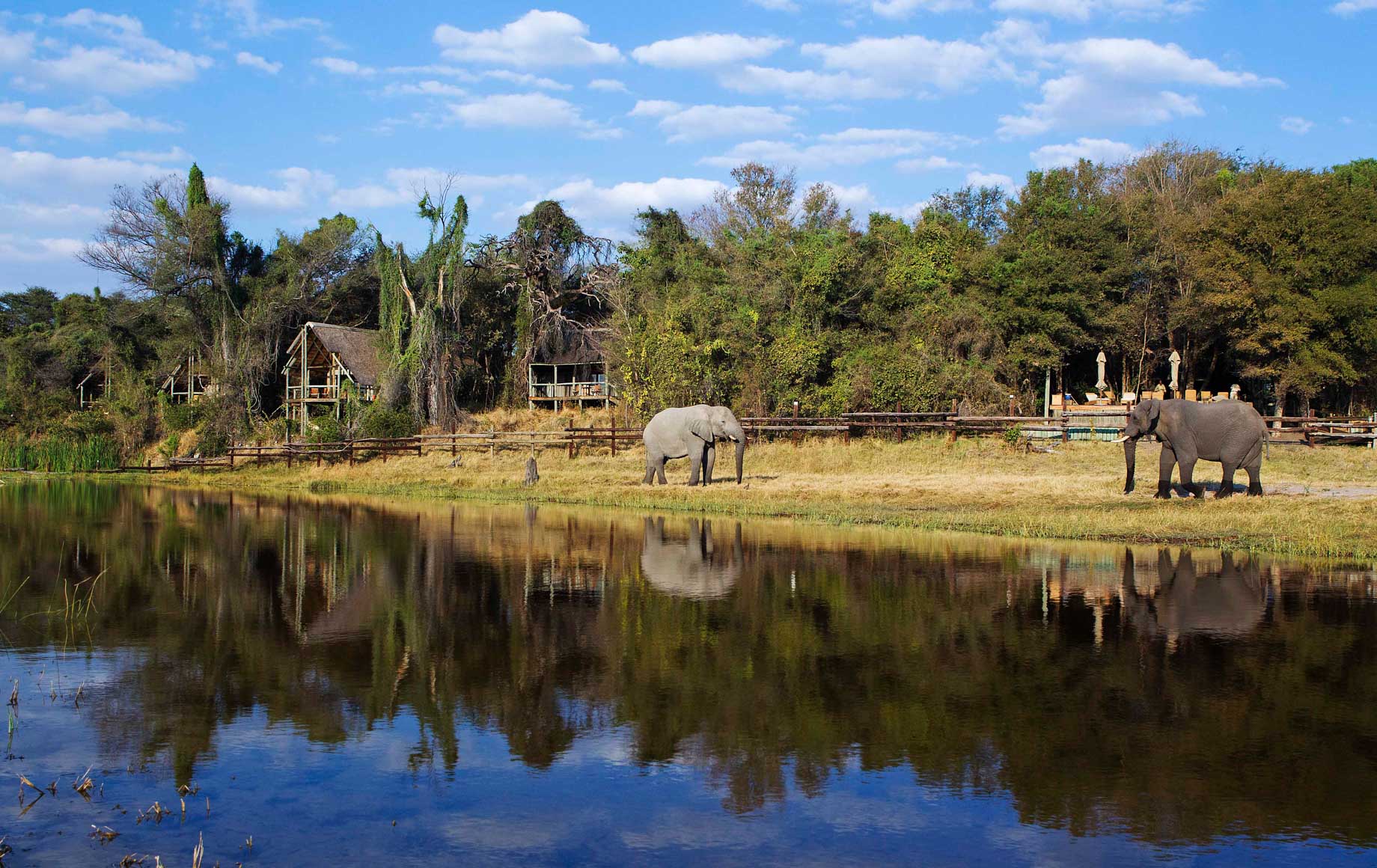 Reflection of beautiful nature on the crystal clear lake in Savuti Chobe safari