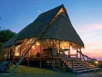 Selinda Camp
