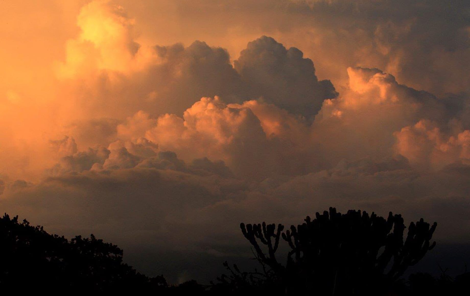 serengeti national park