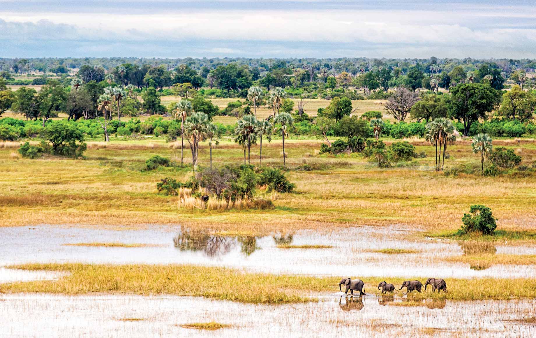 Soaring Over Kenya’s Northern Frontier